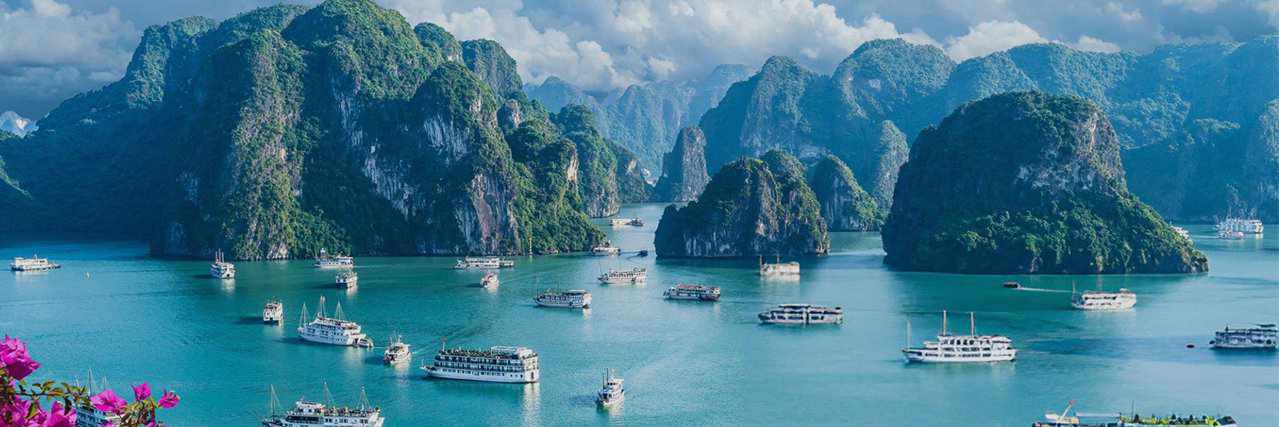 Experience world-class tours